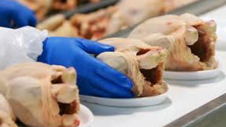 Κίνδυνος για την υγεία! Χιλιάδες ληγμένα κοτόπουλα στην αγορά