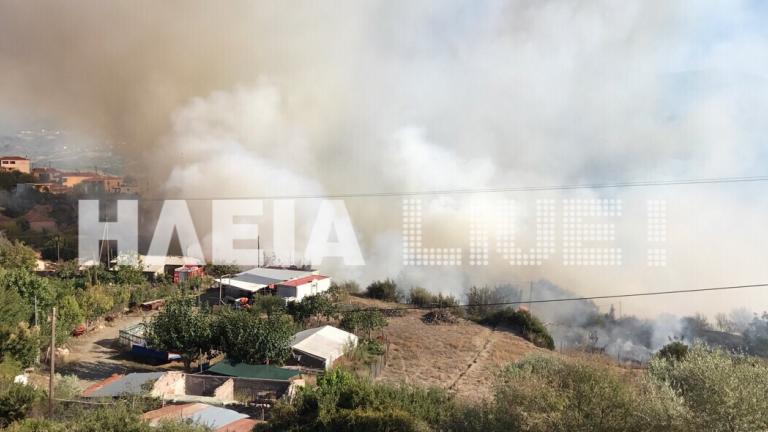 Μεγάλη φωτιά στην Ηλεία 