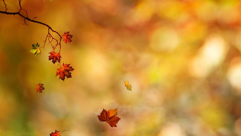 Φθινοπωρινή ισημερία: Το καλοκαίρι από αύριο τελειώνει πάμε για Φθινόπωρο