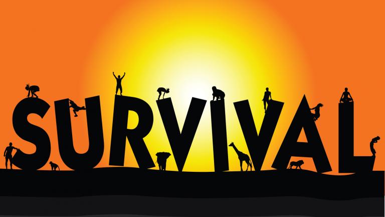 Survival: Πόσα χρήματα παίρνουν οι διάσημοι και πόσα οι «Αγωνιστές» 