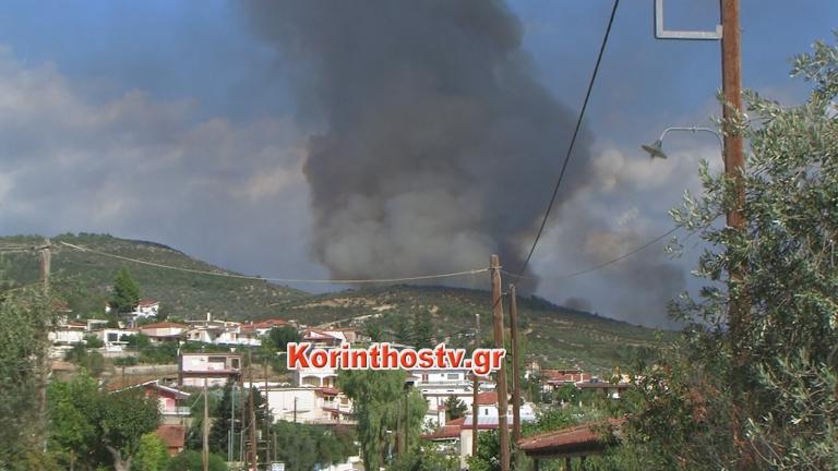 Μεγάλη φωτιά στη Νεμέα-Στέλνονται συνεχώς ενισχύσεις (ΦΩΤΟ+ΒΙΝΤΕΟ)