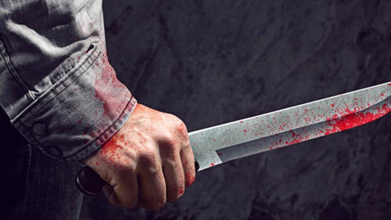 Θρίλερ στη Δανία: Εντόπισαν το κεφάλι της δολοφονημένης δημοσιογράφου (ΦΩΤΟ)