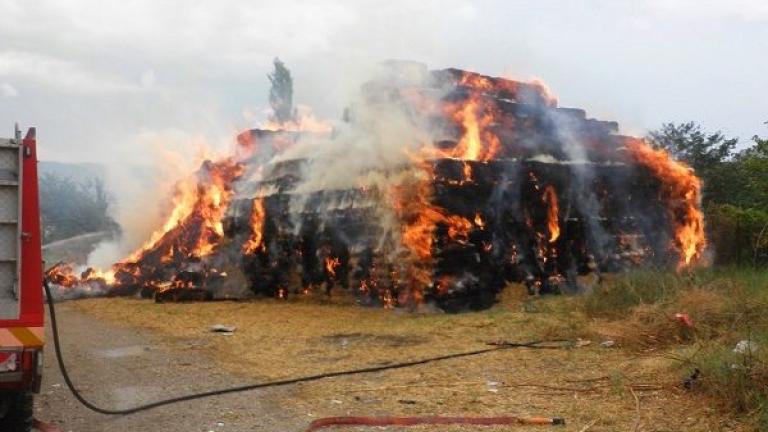 Λάρισα: Μεγάλες καταστροφές από φωτιά - Έχουν καεί ζώα
