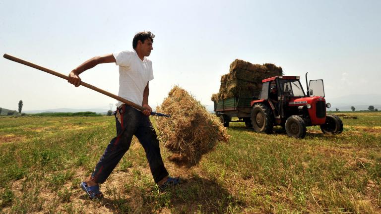 Δίνουν αποζημιώσεις 13,3 εκατ. ευρώ σε 54.688 αγρότες