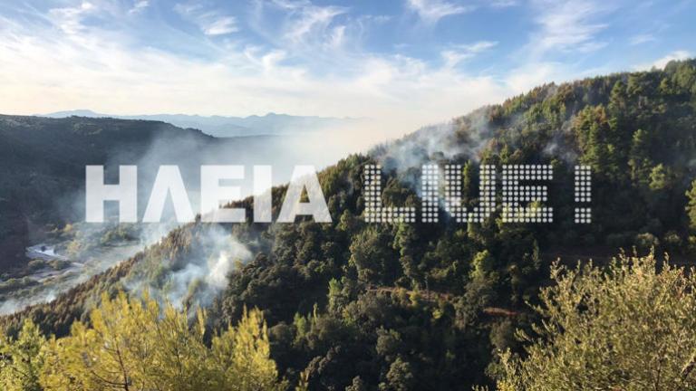Συνεχίζει να μαίνεται η μεγάλη πυρκαγιά στην περιοχή Νεμούτα της Ηλείας – Ένας τραυματίας