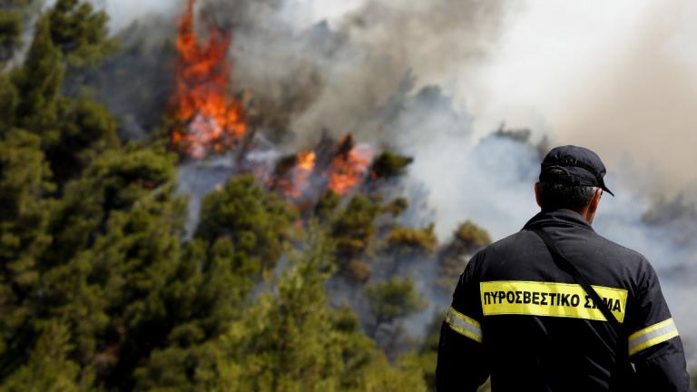 Πυρκαγιά στην Εύβοια: Ισχυρές πυροσβεστικές δυνάμεις στην περιοχή Σέτα