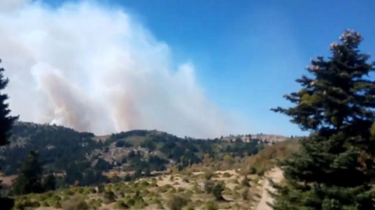 Ολονύχτια μάχη των πυροσβεστών να θέσουν υπό έλεγχο την πυρκαγιά σε δασική περιοχή στη Σέτα Ευβοίας 