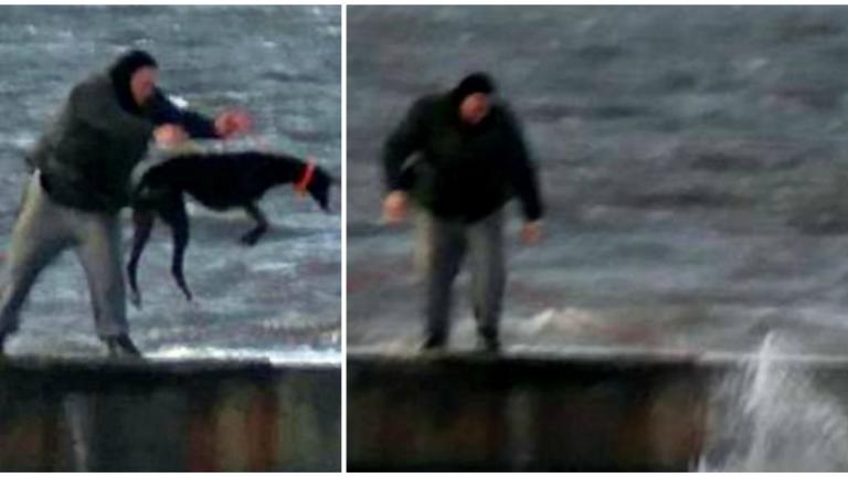 Άνδρας πετάει στα παγωμένα νερά της θάλασσας τον σκύλο του 