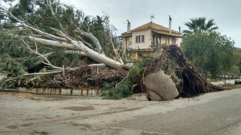 Κακοκαιρία Ευρυδίκη: Απίστευτη καταστροφή στη Κέρκυρα με σπασμένους τάφους και δρόμους (ΦΩΤΟ)