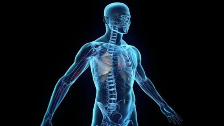 Αυτά τα σημαδια δείχνουν ότι είστε υγιείς! - Τα "βλέπετε" στον εαυτό σας; 