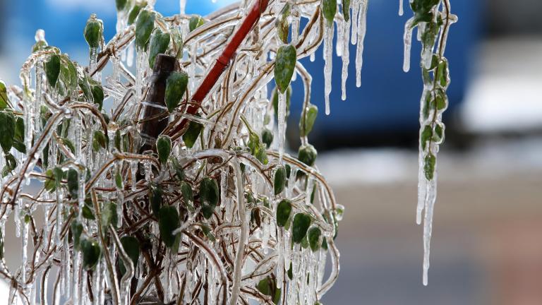 Ξεκίνησε η κατακόρυφη πτώση της θερμοκρασίας - Χιόνια απόψε και στην Πάρνηθα-Λευκές γιορτές-Αναλυτική πρόγνωση πενθημέρου 