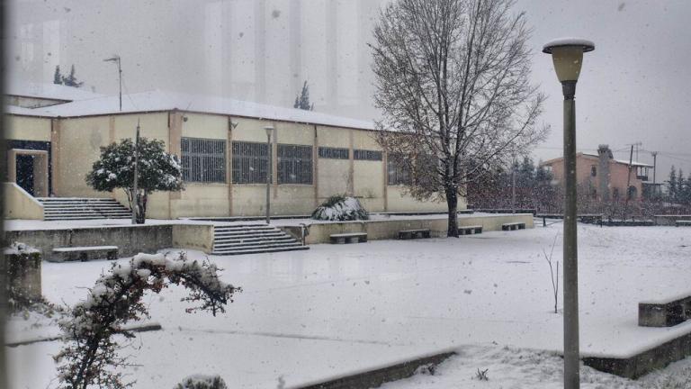 Σε ποιες περιοχές είναι κλειστά τα σχολεία λόγω χιονιά