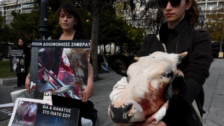  Με ένα κομμένο κεφάλι αγελάδας εμφανίστηκαν ακτιβίστριες στο Σύνταγμα 