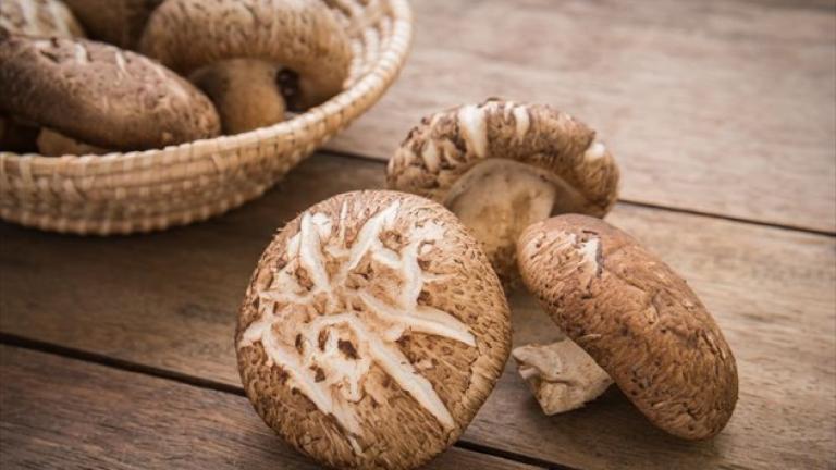 Εντόπισαν «ραδιενεργά» μανιτάρια σε ράφια σούπερ μάρκετ!