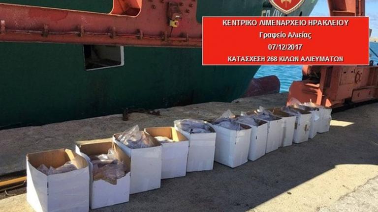 Κατάσχεσαν 268 κιλά ψάρια και τα χάρισαν σε ιδρύματα της Κρήτης
