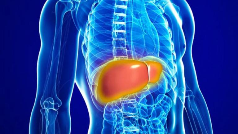 Πώς μπορούμε να κάνουμε αποτοξίνωση για να διατηρήσουμε το συκώτι μας