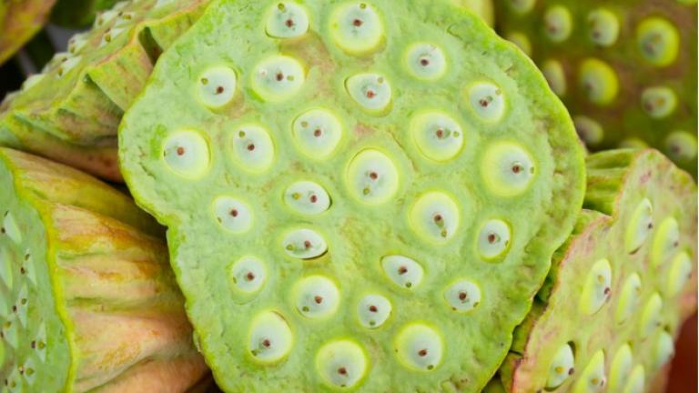 Τρυποφοβία: Τι είναι και γιατί συμβαίνει – Κάντε το αναλυτικό τεστ