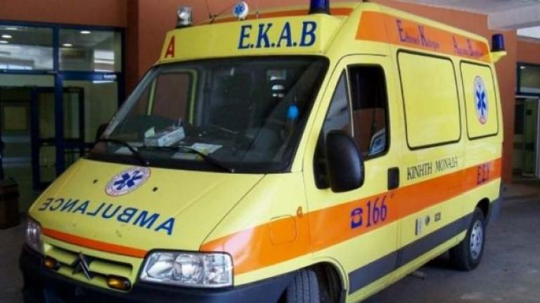 Λαμία: Σοκ από επίθεση σκύλου σε 8χρονο αγοράκι - Σοβαρός τραυματισμός στο πρόσωπο! 