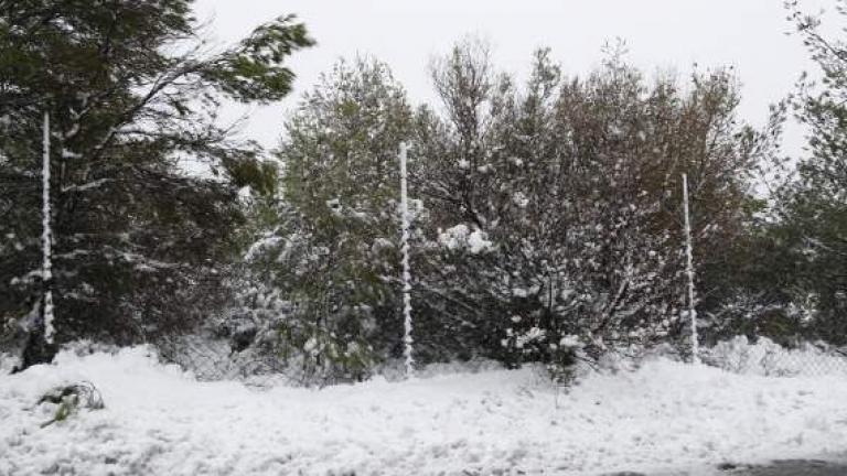 Πάρνηθα: Το πρώτο χιόνι της χρονιάς! (ΒΙΝΤΕΟ)