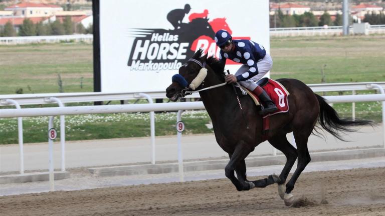 Οι πρωτοεμφανιζόμενοι ίπποι πρωταγωνιστούν σήμερα στο Μαρκόπουλο