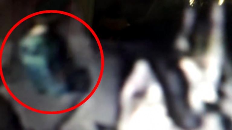 Το βίντεο-ντοκουμέντο από κάμερα ασφαλείας που κατέγραψε τον απ-άνθρωπο που μετέφερε το μωράκι μέσα σε σακούλα σκουπιδιών