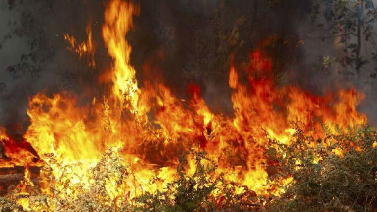Συνολικά 130 πυρκαγιές σε ένα 24ωρο - Συνεχίζεται η μάχη με τις φλόγες 