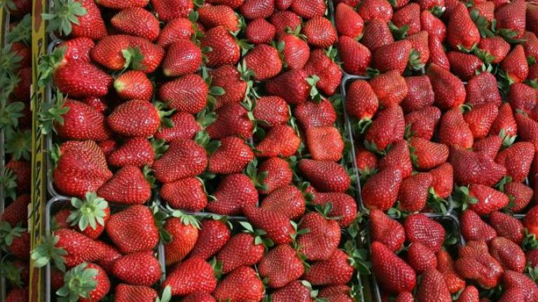 Δέσμευση 1,8 τόνων φράουλας σε επιχείρηση του Πειραιά 