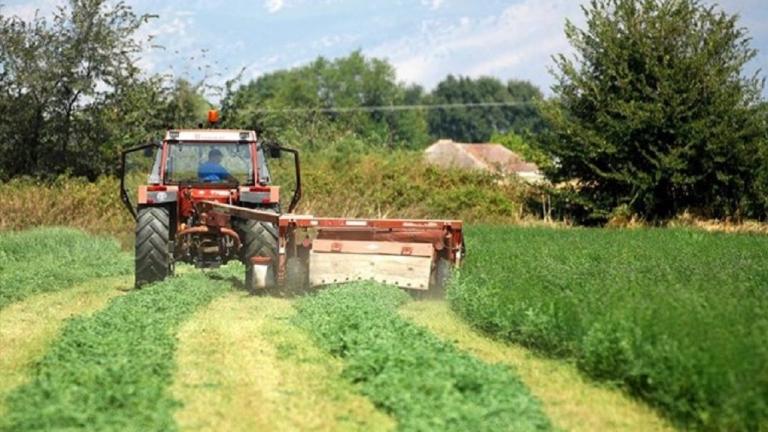 ΕΛΓΑ: Αποζημιώσεις 20 εκατ. ευρώ σε αγρότες και κτηνοτρόφους