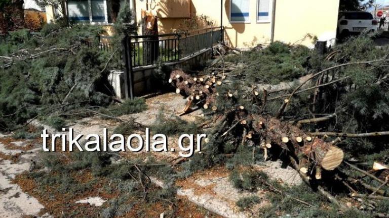 Τρίκαλα: Ανεμοθύελλα ξερίζωσε δέντρα και ξήλωσε σκεπές! (ΒΙΝΤΕΟ)