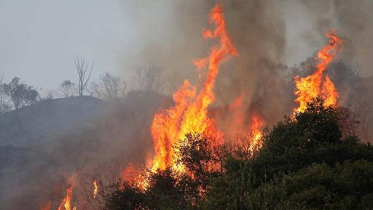 Πυρκαγιές στην Ηλεία: Λιποθύμησε στο δικαστήριο ο κατηγορούμενος-Αρνείται τις μομφές