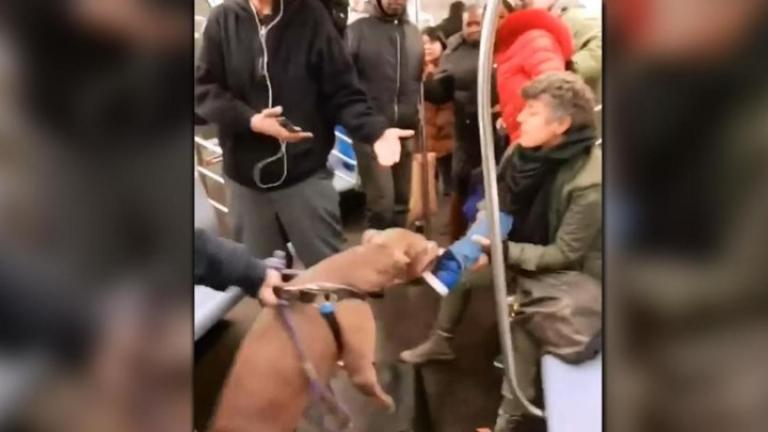 Πανικός σε βαγόνι του μετρό όταν μια γυναίκα δέχτηκε επίθεση από σκύλο ράτσας πίτμπουλ-Σοκαριστικό βίντεο