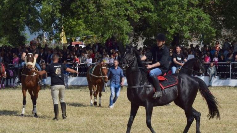 Αναβίωσε και φέτος το γνωστό σε όλους έθιμο των ιπποδρομιών στον Άη Γιώργη Μεσολογγίου με τις κούρσες