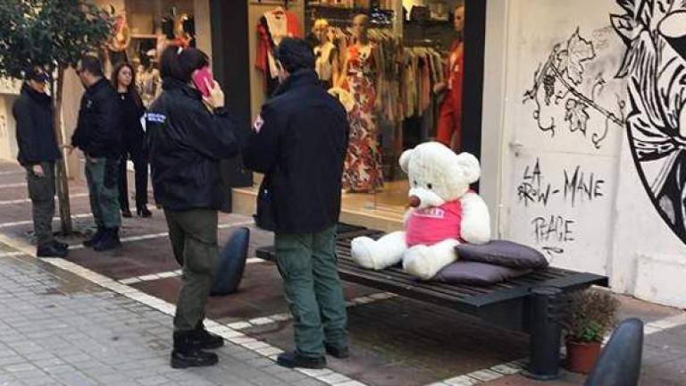 Συνέβη στα Γιάννενα: Αστυνομική επιχείρηση για την σύλληψη αρκούδου (ΦΩΤΟ)