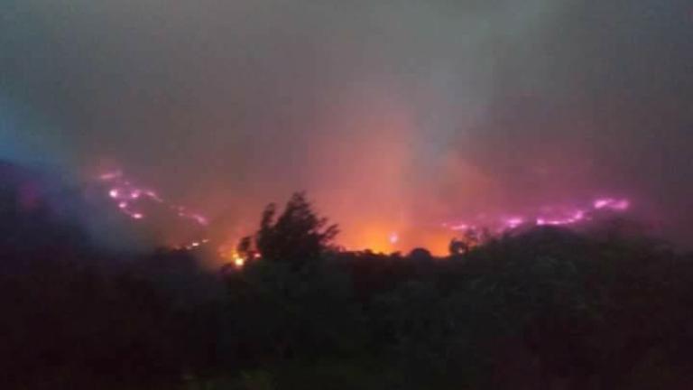 Ηλεία: Καίει ανεξέλεγκτη η φωτιά - Ολονύχτια μάχη με τις φλόγες - Εκκενώθηκαν σπίτια