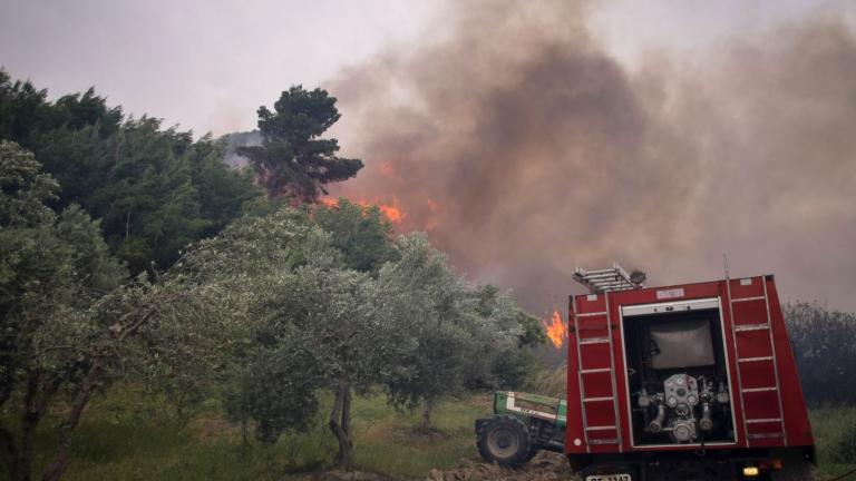 Ηλεία: Στη μάχη με τις φλόγες ισχυρές πυροσβεστικές δυνάμεις