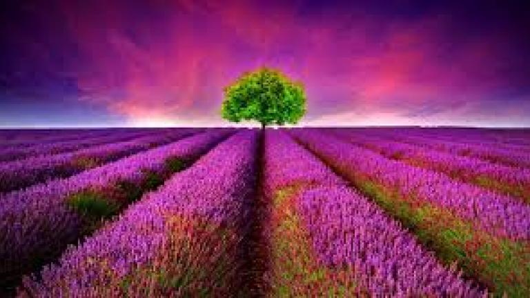 Αν σήμερα Παρασκευή 13 Απριλίου έχετε γενέθλια