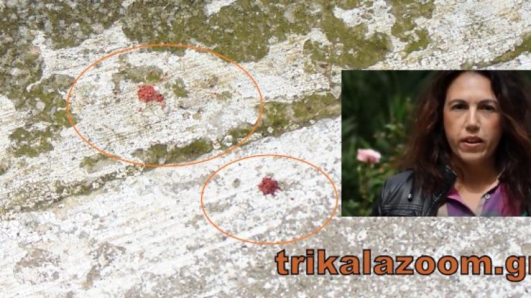 Σοκ εξακολουθεί να προκαλεί η  οικογενειακή τραγωδία σημειώθηκε στα Τρίκαλα- Αυτή είναι η 45χρονη υποψήφια δημοτική σύμβουλος που "έσβησε" από τις μαχαιριές του συζύγου της (ΦΩΤΟ-ΒΙΝΤΕΟ)