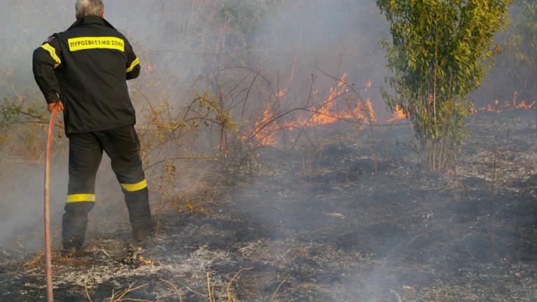 Υπό έλεγχο η πυρκαγιά στη Νέα Μάκρη