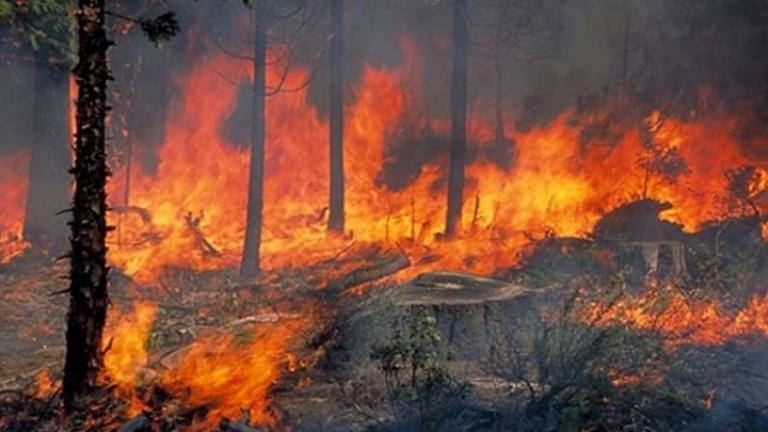 Ξέσπασε φωτιά στο Ηράκλειο-Επί ποδός η Πυροσβεστική