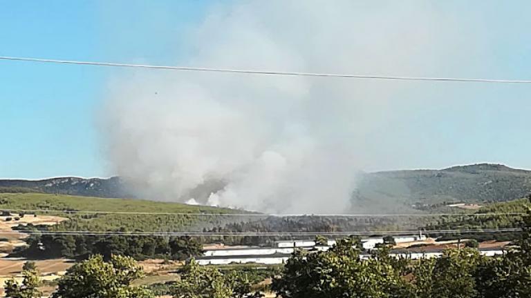 Επικίνδυνη πυρκαγιά στην Εύβοια - Επιχειρούν επίγεια και εναέρια μέσα