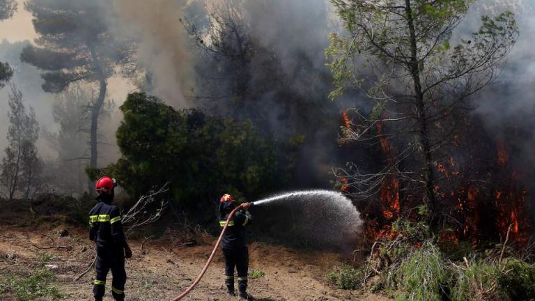 Συνεχίζονται οι προσπάθειες για την πλήρη κατάσβεση της πυρκαγιάς στην Αλόννησο - Πρόβλημα οι αναζωπυρώσεις εξαιτίας των ανέμων 