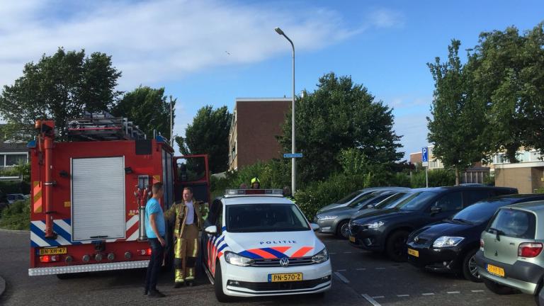 Ολλανδία: Ο οδηγός του φορτηγού που έπεσε πάνω σε ανθρώπους στη διάρκεια μουσικού φεστιβάλ παραδόθηκε στην αστυνομία