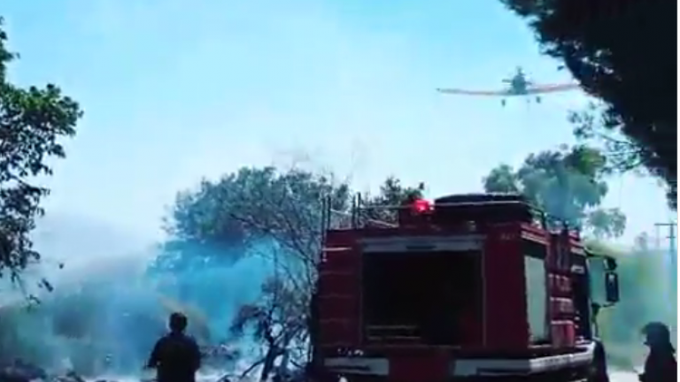 Πυρκαγιά ξέσπασε στο Άλσος Συγγρού 