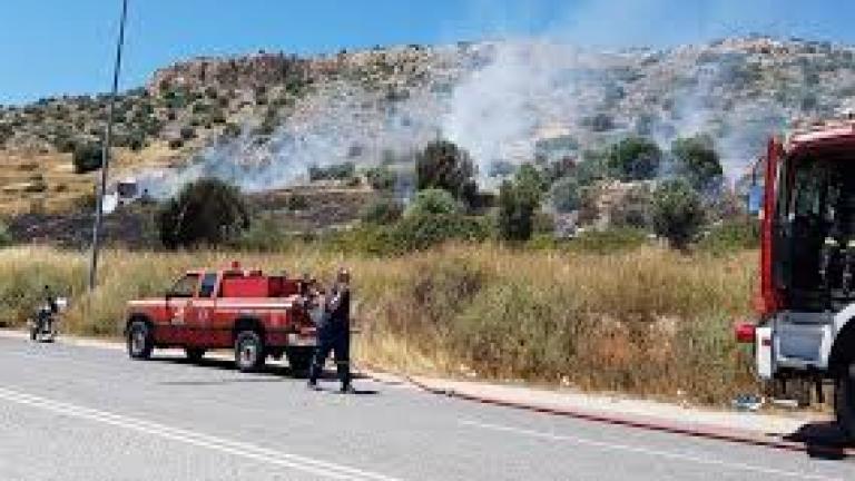 Πάτρα: Φωτιά στην περιοχή Ριγανόκαμπος