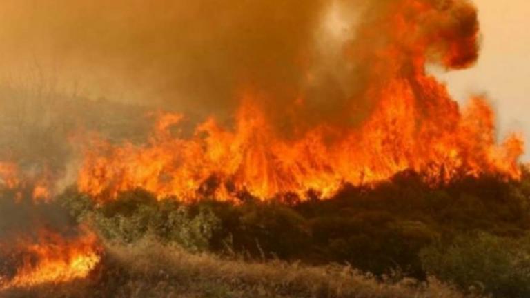 Νέα πυρκαγιά στο νομό Βοιωτίας, η τρίτη μέσα σε λίγα εικοσιτετράωρα 