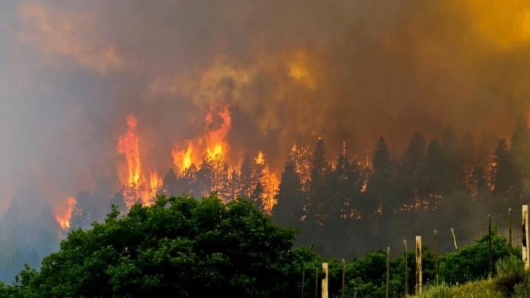 Μεγάλη πυρκαγιά στο Κολοράντο,εκκενώνονται κατοικίες (ΒΙΝΤΕΟ)