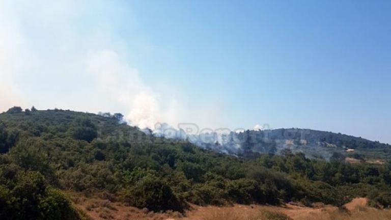 Μεγάλη κινητοποίηση της Πυροσβεστικής για πυρκαγιά στην Αταλάντη (ΒΙΝΤΕΟ)