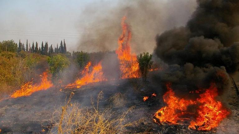 Πυρκαγιά στην Κάρυστο  