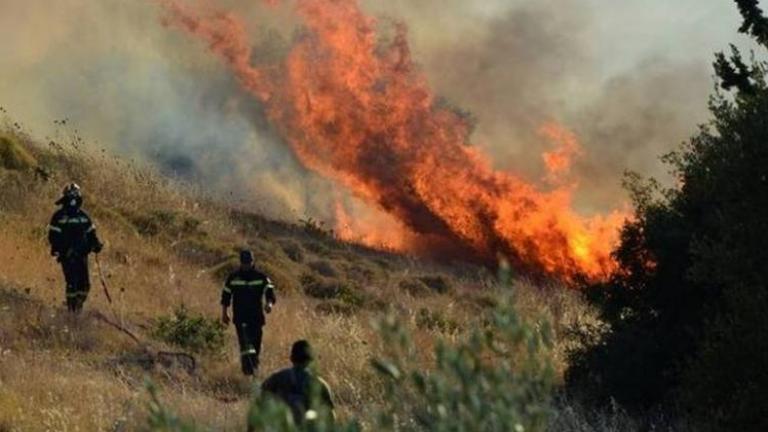 Μεσολόγγι: Φωτιά στον αρχαιολογικό χώρο των Οινιαδών