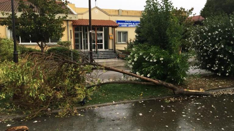 Άνοιξαν οι ουρανοί στην Καβάλα: Ποτάμια οι δρόμοι, ξεριζώθηκαν δέντρα (ΦΩΤΟ)